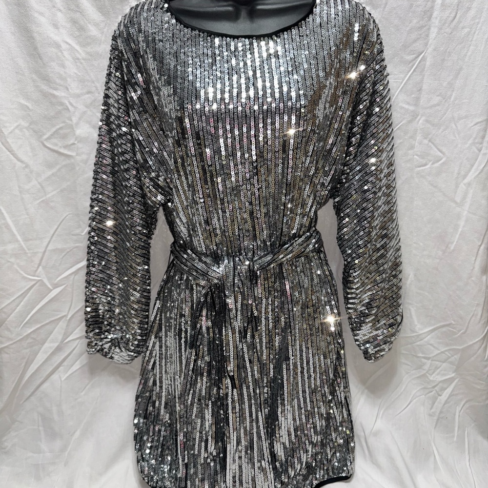 Fashion Nova Silver Sequin Dress